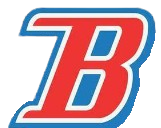 icon of BLEACHDLE